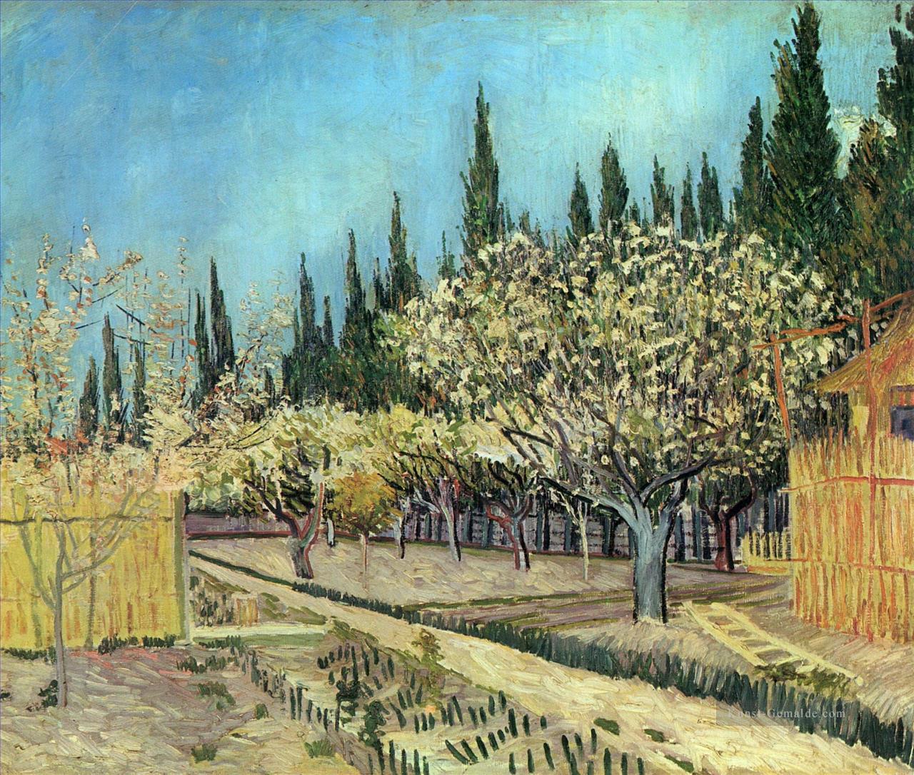Orchard in Blossom Umrahmt von Cypresses 2 Vincent van Gogh Ölgemälde